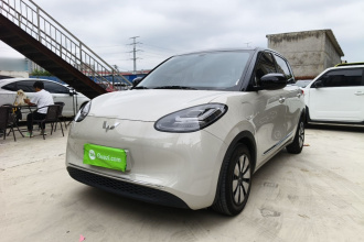 五菱汽车 五菱缤果 2024款 333km 悦享款