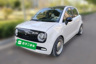 欧拉黑猫 2021款 301km 基础型