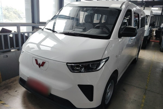 五菱汽车 五菱扬光 2024款 300km 舒适型客车版 75kW