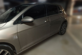 大众 高尔夫 2018款  230TSI 自动豪华型