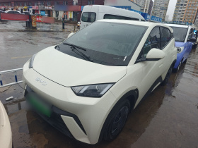 比亚迪 海鸥 2025款 305km 活力版