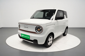 吉利银河 2024款 熊猫mini 200km 耐力熊
