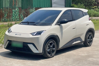比亚迪 海鸥 2024款 荣耀版 305km 自由版