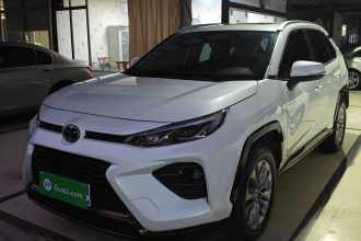 丰田 威兰达 2024款 2.0L CVT两驱都市版