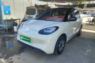 五菱汽车 五菱缤果 2023款 333km 悦享+款