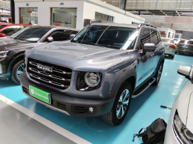 哈弗大狗 2021款 1.5T DCT两驱拉布拉多版