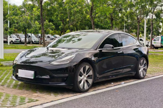 特斯拉 Model 3(进口) 2019款 Performance高性能全轮驱动版