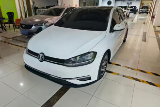 大众 高尔夫 2018款  230TSI 自动豪华型