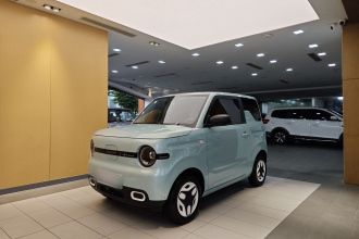吉利银河 2025款 熊猫mini 210km 元气熊
