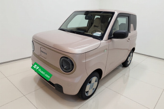 吉利银河 2024款 熊猫mini 200km 耐力熊