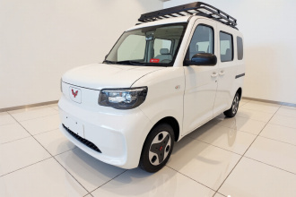 五菱汽车 五菱之光新能源 2025款 305km 进取型