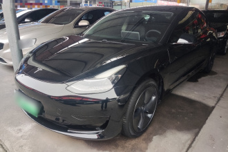 特斯拉 Model 3 2019款 标准续航后驱升级版