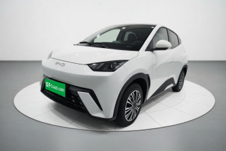 比亚迪 海鸥 2024款 荣耀版 305km 活力版