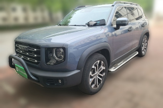 哈弗大狗 2021款 1.5T DCT两驱边牧版