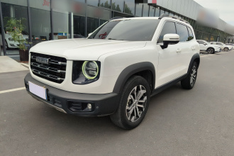 哈弗大狗 2022款 1.5T DCT两驱边牧版
