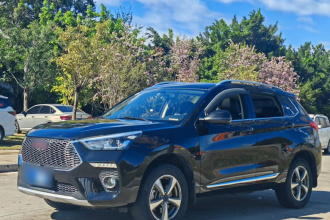 哈弗H6 Coupe 2018款 红标 1.5T 自动两驱豪华型