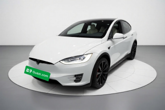 特斯拉 Model X 2020款 Performance 高性能版