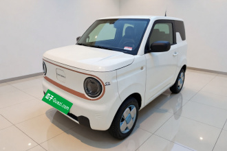 吉利银河 2024款 熊猫mini 200km 耐力熊