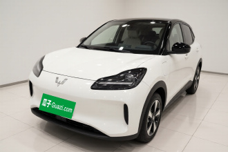 五菱汽车 五菱缤果PLUS 2024款 330km 五座版