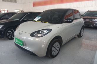 五菱汽车 五菱缤果 2024款 203km 轻享款