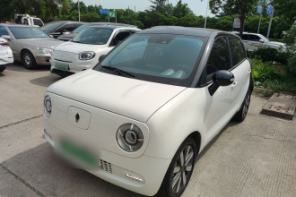 欧拉黑猫 2021款 351km 豪华型