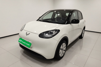 五菱汽车 五菱缤果 2023款 203km 轻享款