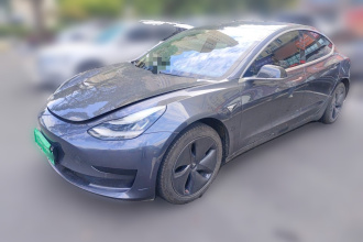 特斯拉 Model 3 2019款 标准续航后驱升级版