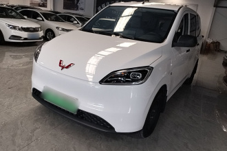 五菱汽车 五菱宏光新能源 2024款 纯电版 300KM 标准型