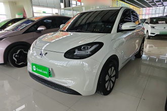 五菱汽车 五菱缤果 2024款 333km 悦享款