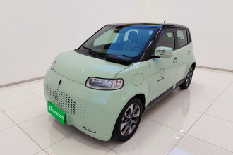 欧拉白猫 2020款 305km 豪华型