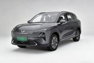 五菱汽车 五菱星光S 2024款 130km 旗舰型