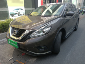 日产 楼兰 2019款 2.5L XL 两驱智联豪华版 国V