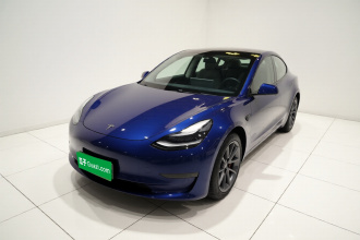 特斯拉 Model 3 2021款 标准续航后驱升级版