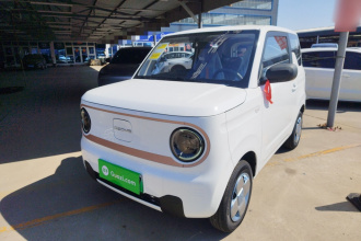 吉利银河 2024款 熊猫mini 200km 耐力熊
