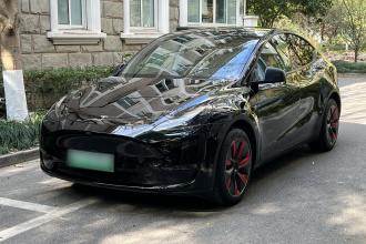 特斯拉 Model Y 2021款 长续航全轮驱动版
