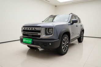 哈弗大狗 2024款 1.5T DCT边牧版