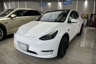 特斯拉 Model Y 2022款 改款 长续航全轮驱动版