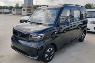 五菱汽车 五菱之光新能源 2025款 305km 进取型