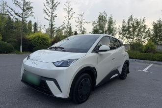 比亚迪 海鸥 2024款 荣耀版 305km 活力版