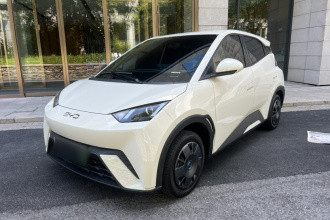 比亚迪 海鸥 2024款 荣耀版 305km 活力版
