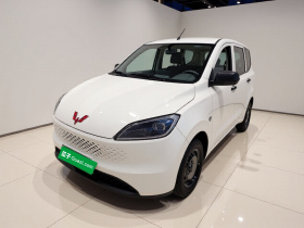 五菱汽车 五菱宏光新能源 2025款 增程式混动 50KM 实用型