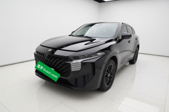 启辰大V 2022款 260T 黑马版·爱豆