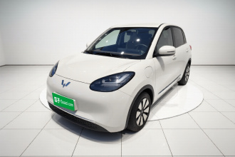 五菱汽车 五菱缤果 2024款 333km 悦享款