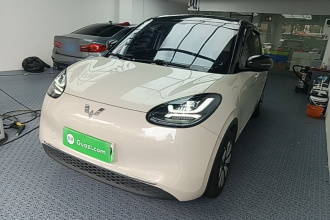 五菱汽车 五菱缤果 2023款 333km 悦享款