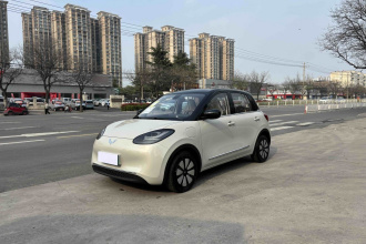 五菱汽车 五菱缤果 2025款 333km 悦享款