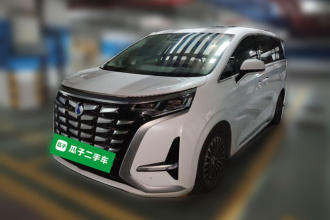 腾势D9 2022款 DM-i 1040 尊贵型