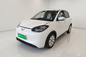 五菱汽车 五菱缤果 2023款 203km 轻享款