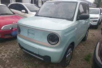 吉利银河 2023款 熊猫mini 200km 耐力熊