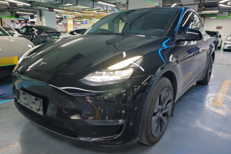 特斯拉 Model Y 2023款 长续航全轮驱动版