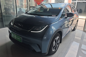 比亚迪 海豚 2025款 420km 活力版